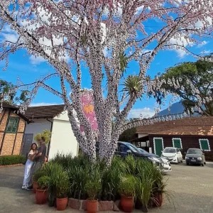 Tour em Pomerode (Saída de Florianópolis)