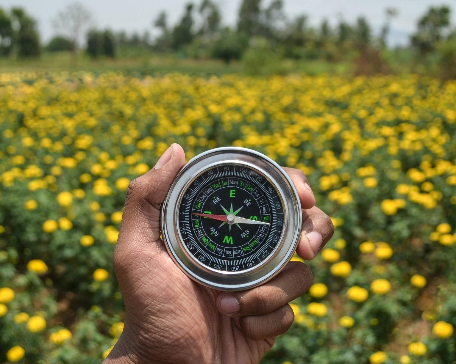 diwatrance_shot-compass-3613077_1920-pixabay