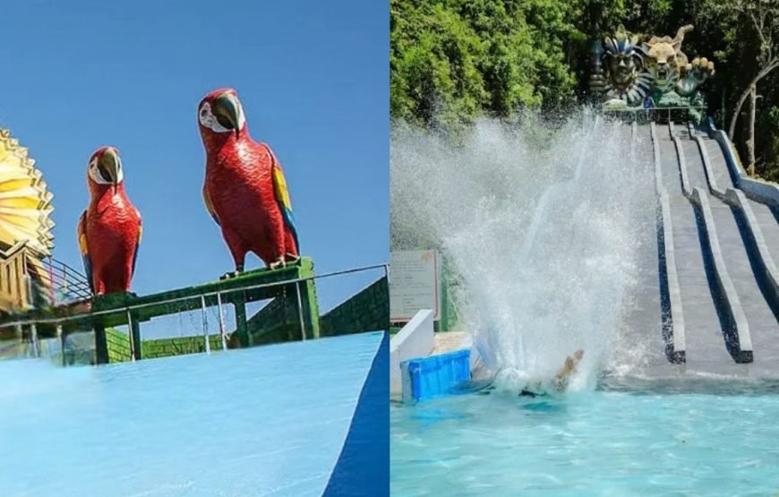 Ingressos Água Show Park: O parque aquático mais amado de SC