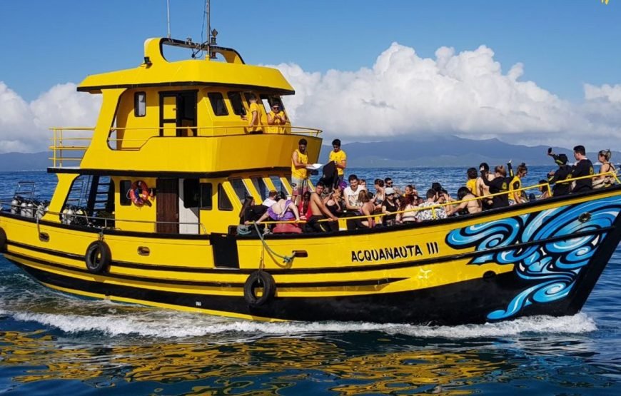 Batismo de Mergulho em Florianópolis – By Acquanauta