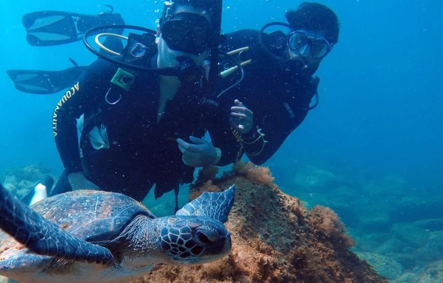 Batismo de Mergulho em Florianópolis – By Acquanauta