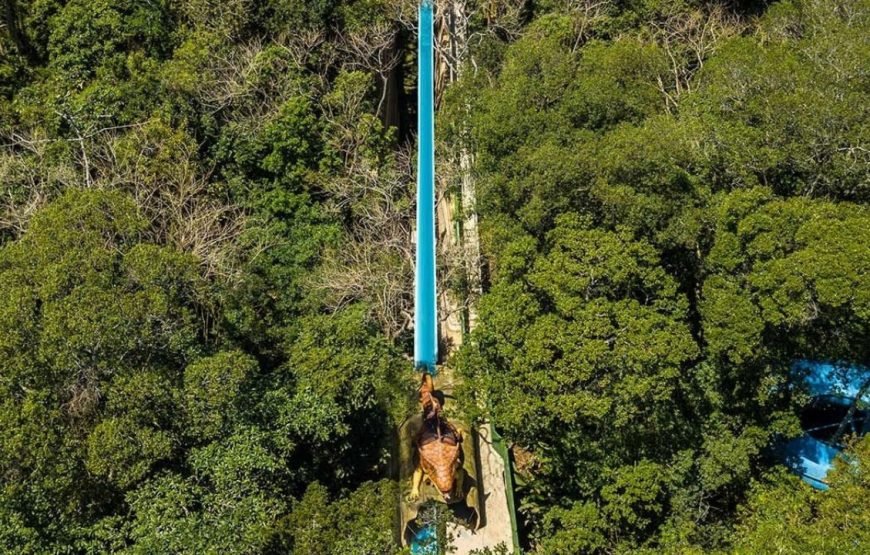 Ingressos Água Show Park: O parque aquático mais amado de SC